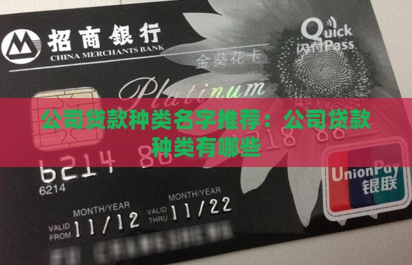 公司贷款种类名字推荐