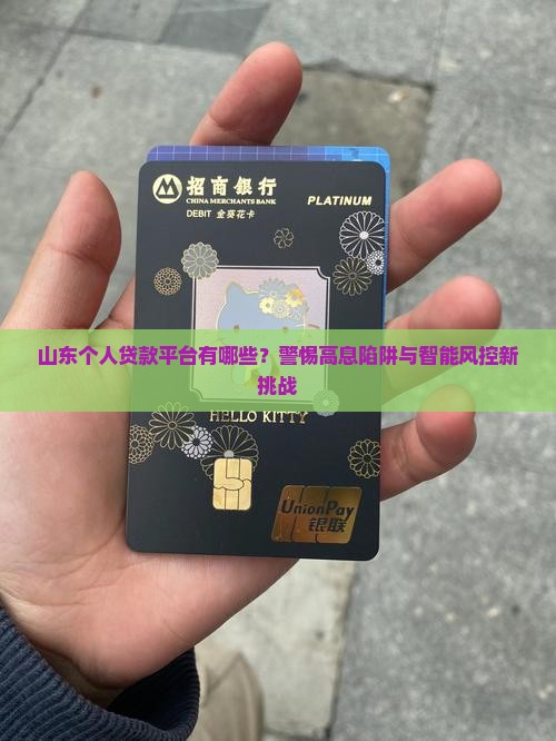 山东个人贷款平台有哪些