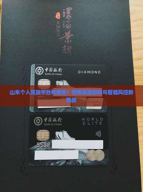 山东个人贷款平台有哪些