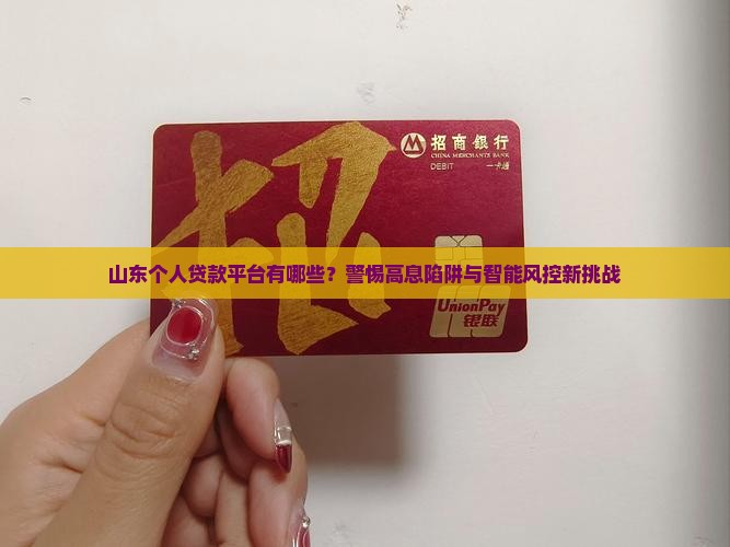 山东个人贷款平台有哪些