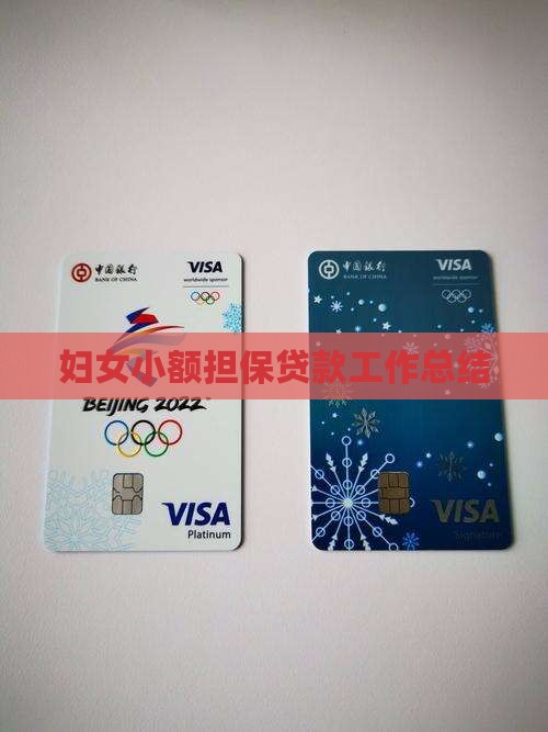 妇女小额贷款工作情况
