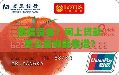 如何在网上咨询贷款