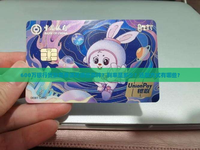 600万银行贷款