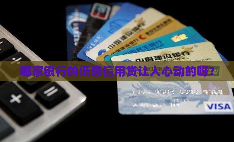 低息信用贷款的银行