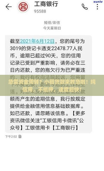 小额贷款纯信用贷款