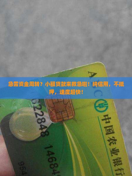 小额贷款纯信用贷款
