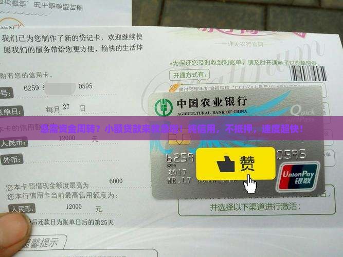 小额贷款纯信用贷款