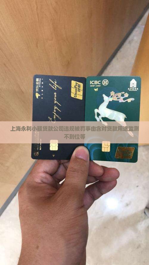 上海永利小额贷款