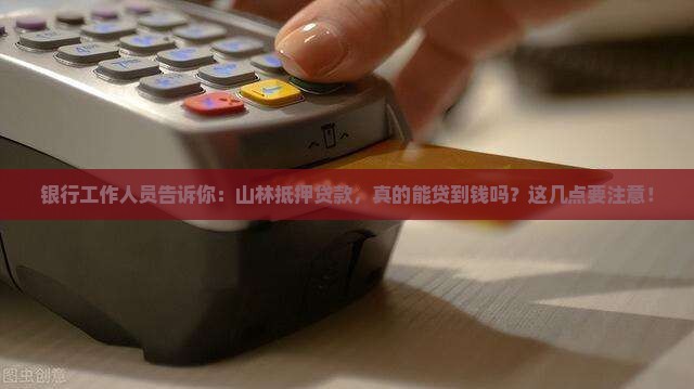 山林抵押银行能贷款吗