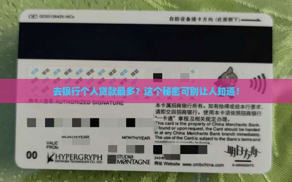 去银行个人贷款最多