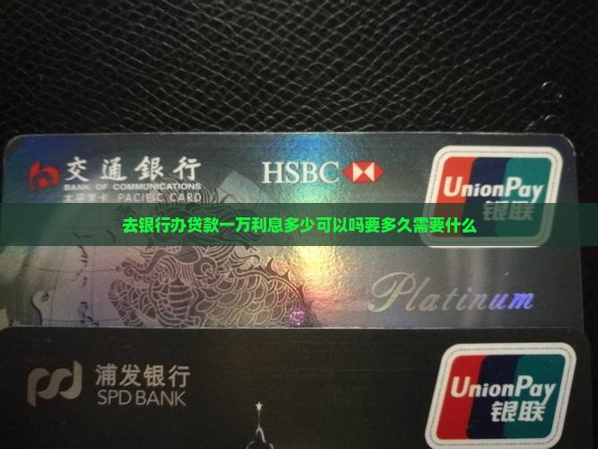 去银行办贷款一万