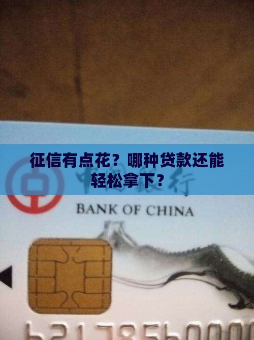 什么贷款好下征信有点花