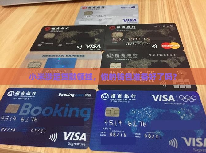 小米进入贷款额度