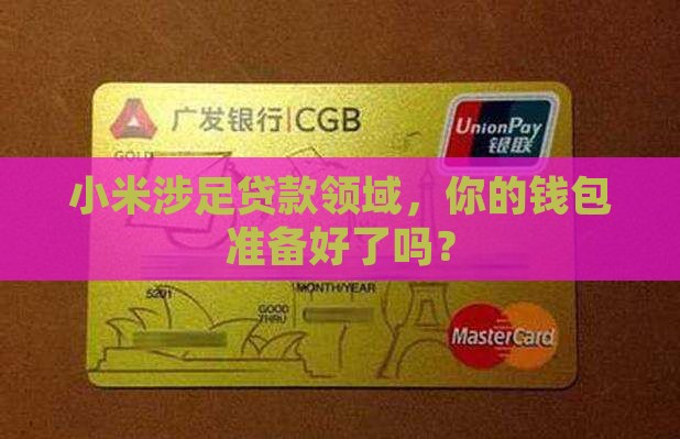 小米进入贷款额度