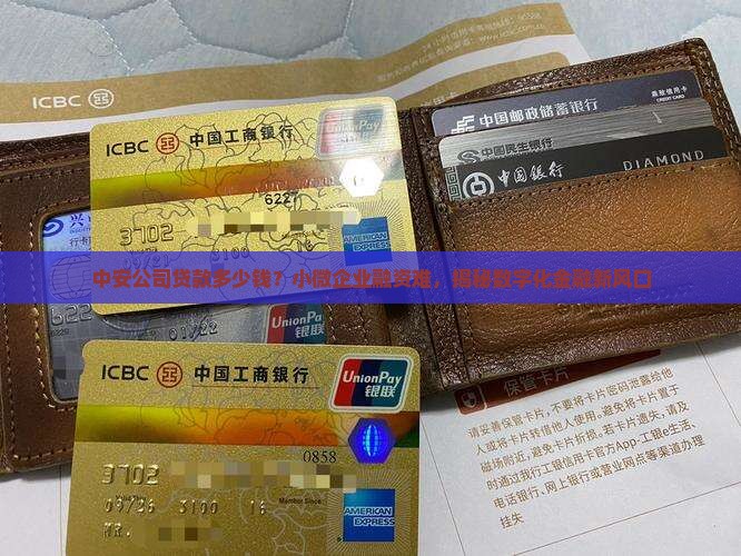 中安公司贷款多少钱