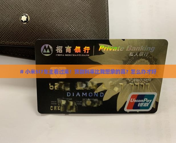 小米si7贷款