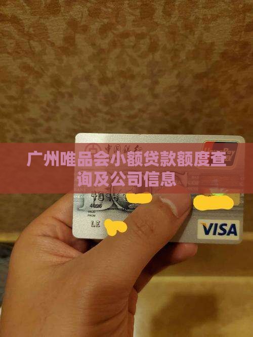 广州唯品会小额贷款额度