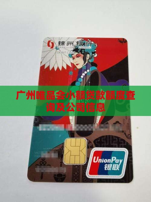 广州唯品会小额贷款额度