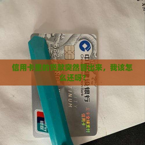 信用卡办的贷款怎么还