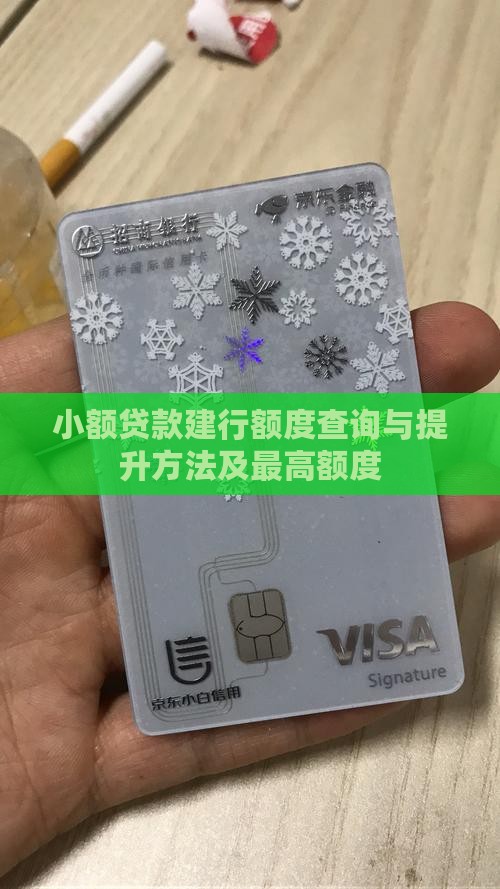 小额贷款建行额度