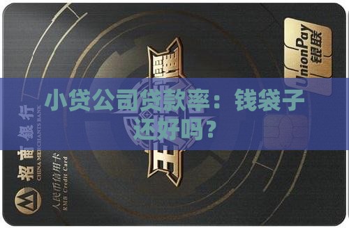 小贷公司贷款率