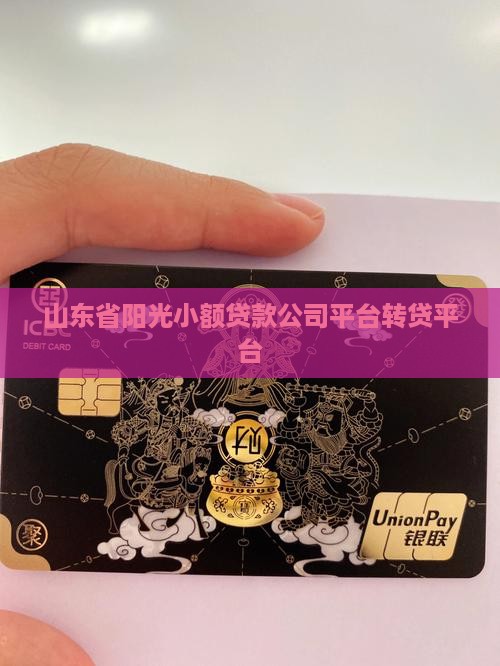 山东省阳光小额贷款