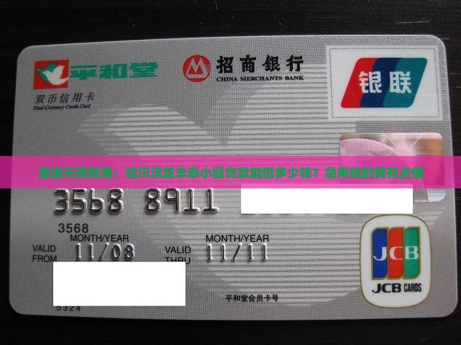 哈尔滨龙丰泰小额贷款