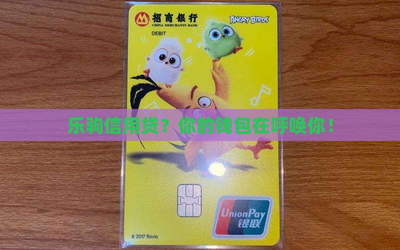 乐驹个人信用贷款