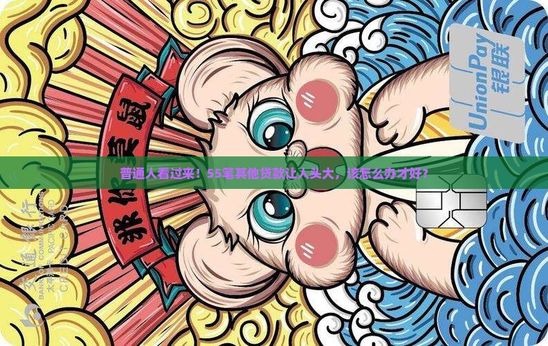 征信其他类贷款55笔