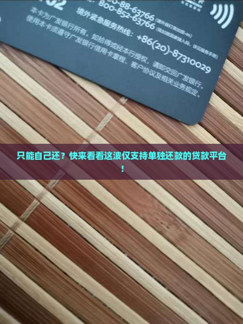 仅可单独还款的贷款平台