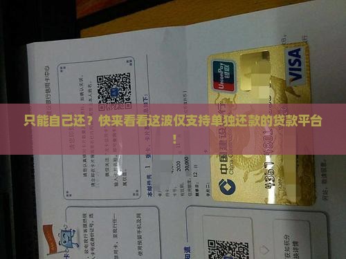 仅可单独还款的贷款平台