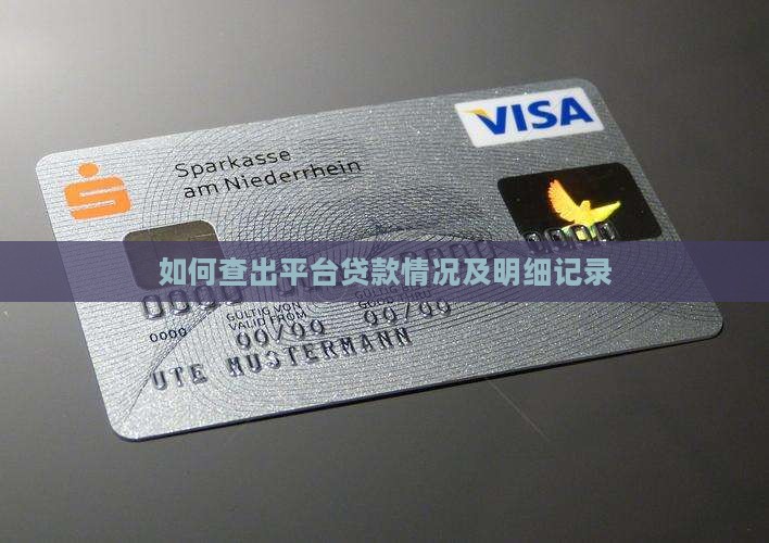 如何查出平台贷款情况