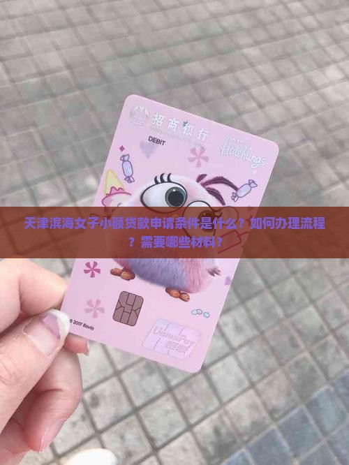 天津滨海女子小额贷款