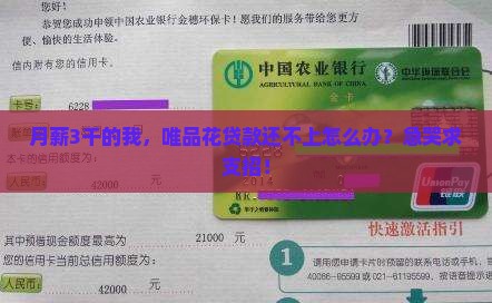 唯品花贷款还不上怎么办