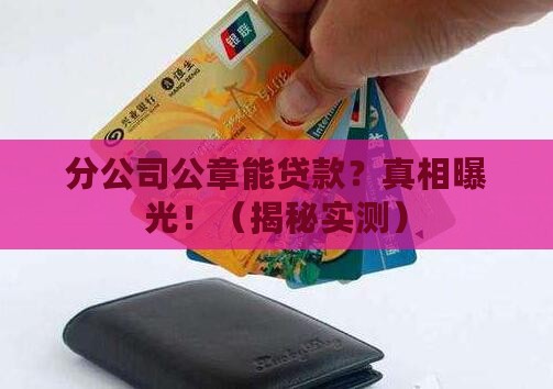 分公司公章可以贷款呜