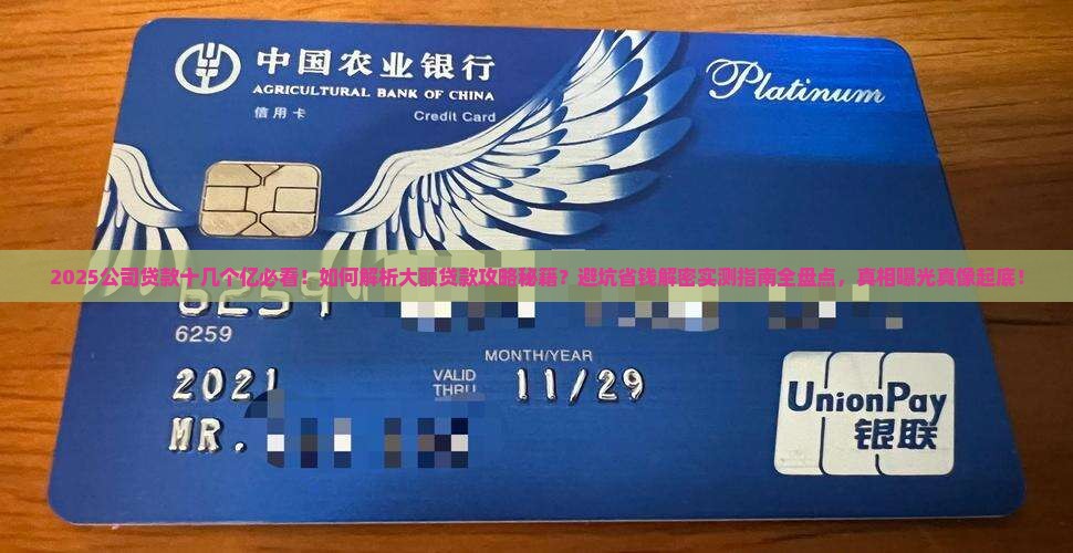 公司怎样贷款十几个亿