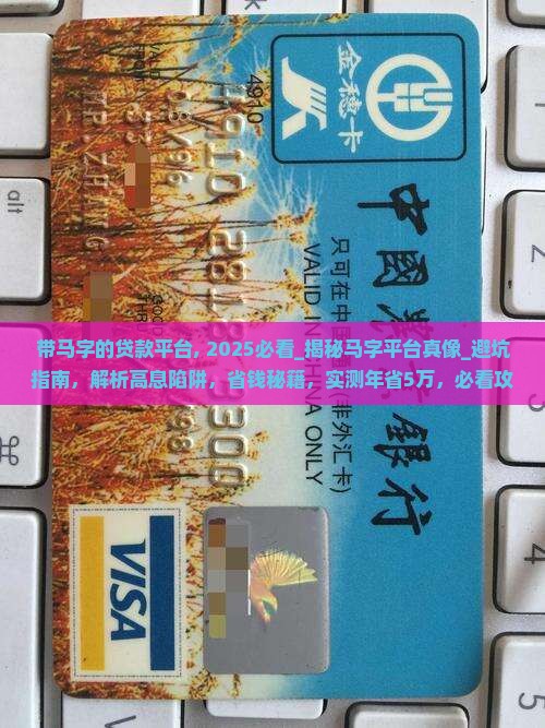 带马字的贷款平台
