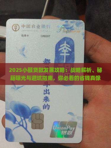 我国小额贷款的发展战略