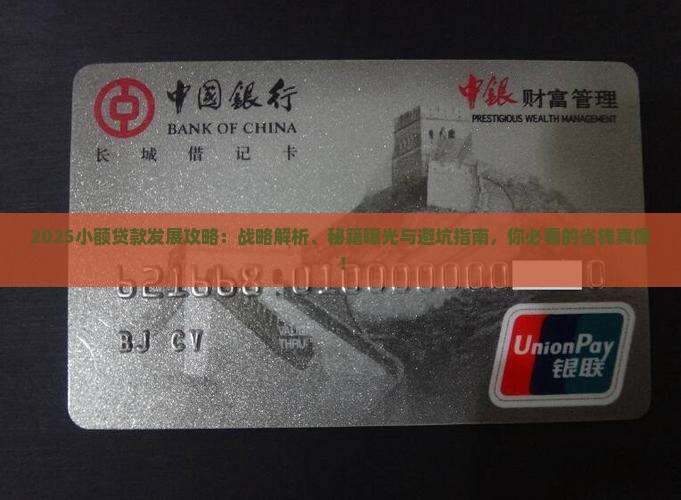 我国小额贷款的发展战略