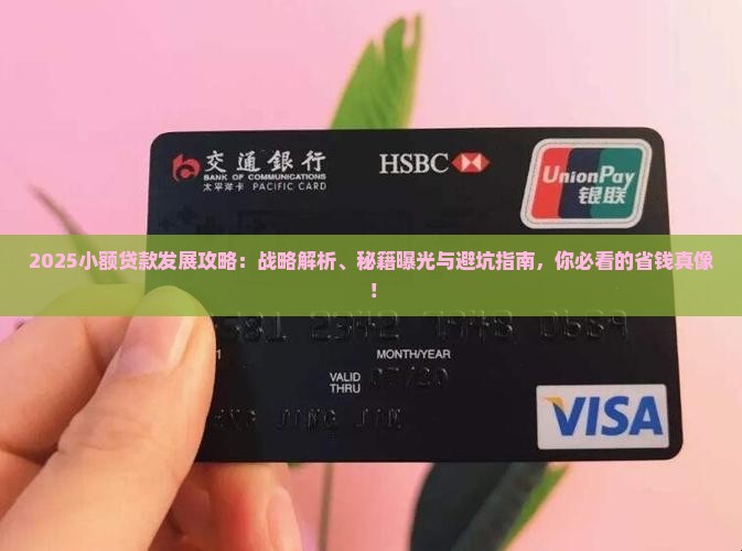 我国小额贷款的发展战略