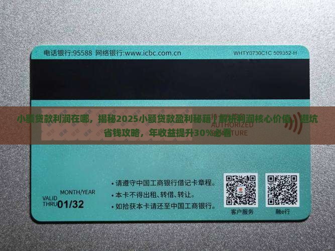 小额贷款利润在哪