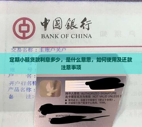 定期小额贷款