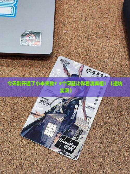 今天刚开通了小米贷款