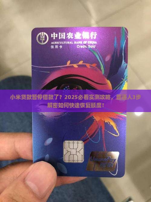 小米贷款怎么暂停借款了