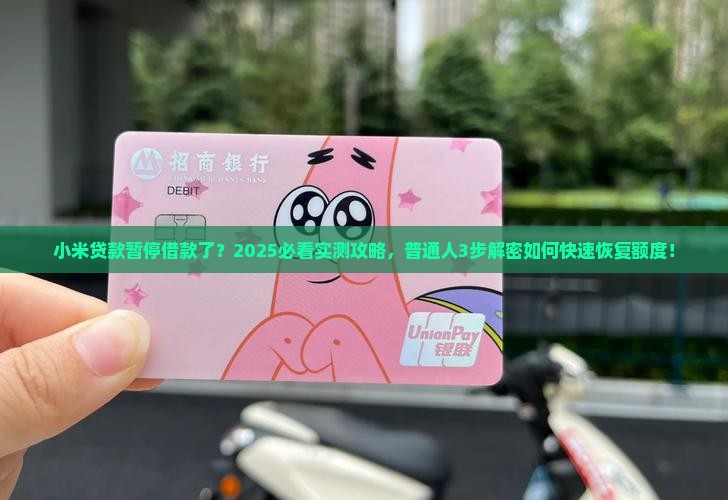 小米贷款怎么暂停借款了