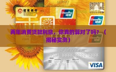 两年消费贷款利息