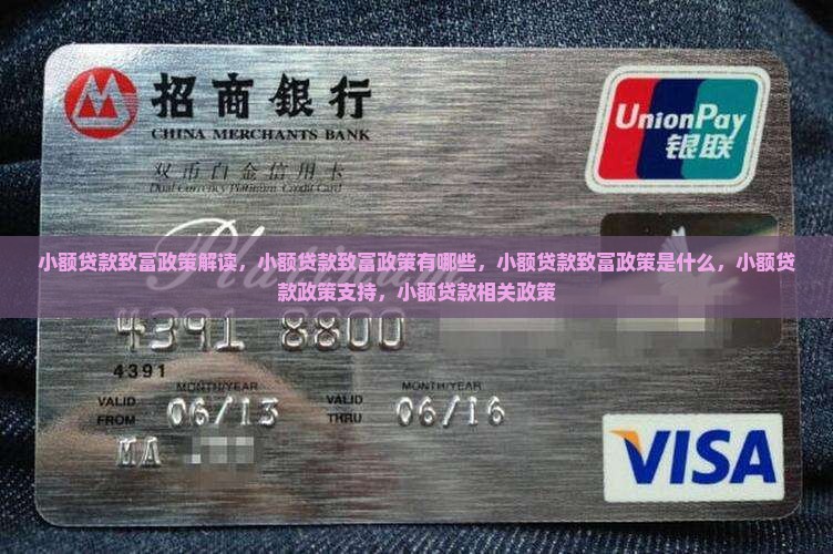 小额贷款致富政策
