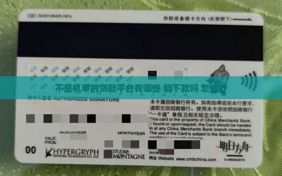 不是机审的贷款平台