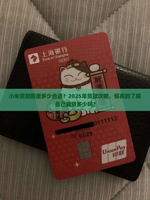 小米贷款额度多少合适
