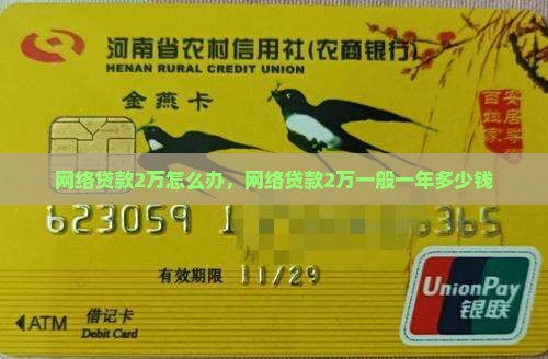 网络贷款2万怎么办